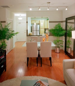 Palladian Apartments living room facing kitchen