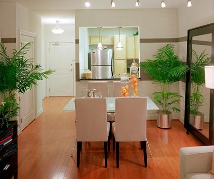 View of living room at Palladian apartments looking toward kitchen